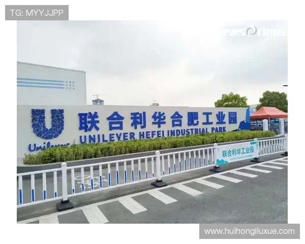 华体会国际版在全球市场的布局策略及本土化运营的成功案例经验分享